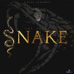 Snake - D Kish Song Download